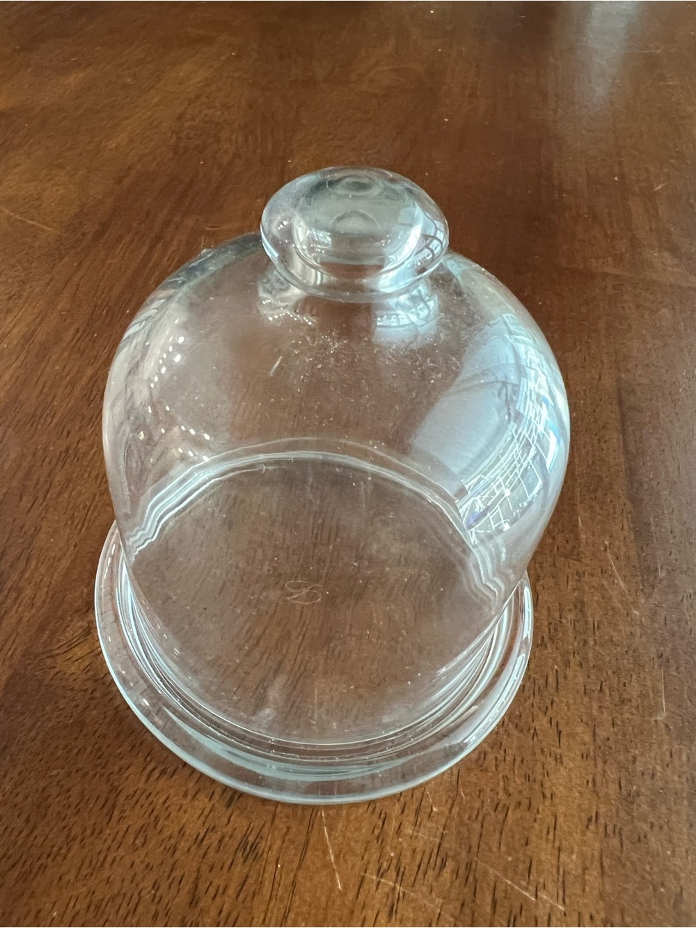 Clear Glass Dome Cloche with Glass Base